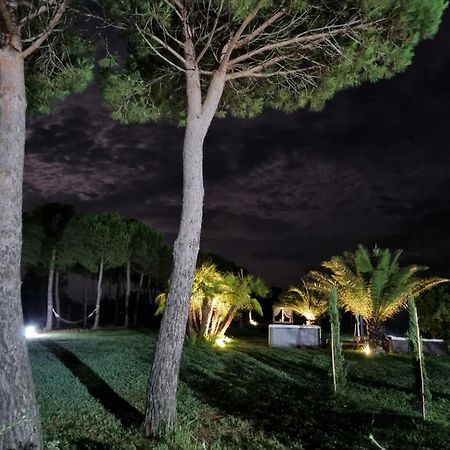 Agriturismo La Pergola Castiglione del Lago Eksteriør billede